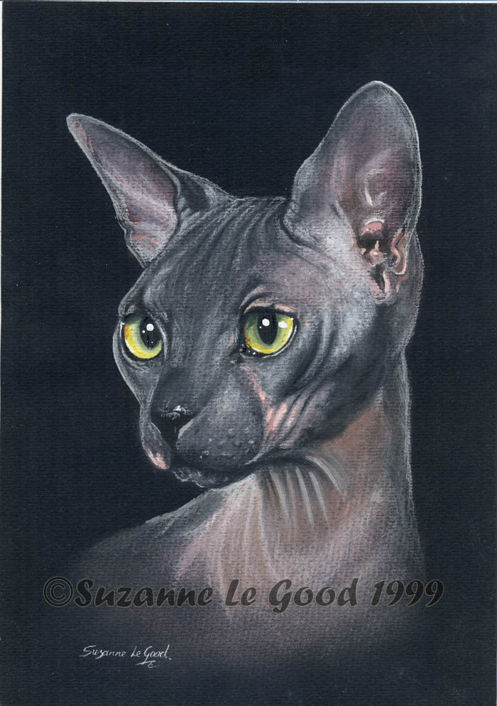 Welcome to suzannelegoodcats.com | Feline and Animal Artist