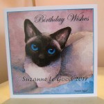 Card Suzy Birthday 2