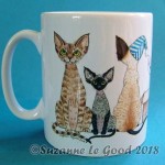 Devon Row mug 1