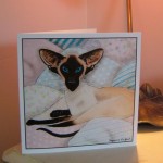 card square siamese on pastel